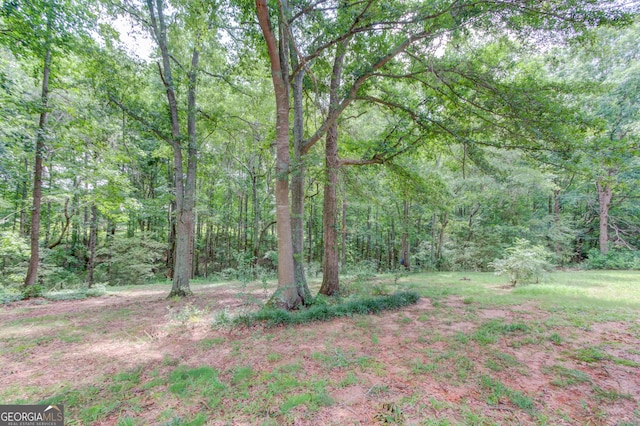 1406 Marshview Ct, Hoschton, GA 30548 - view of yard with a wooded view