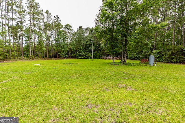 1185 Mp Martin Rd, Brooklet, GA 30415 - view of grassy yard