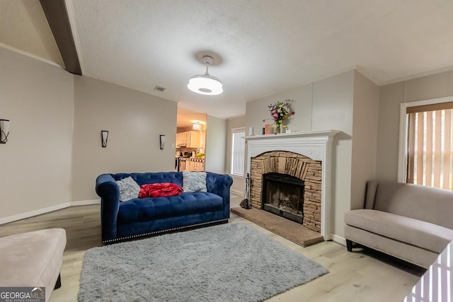 1185 Mp Martin Rd, Brooklet, GA 30415 - living area with light wood-type flooring, plenty of natural light, and a fireplace