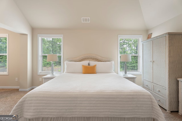1001 Hartwell Rd, Locust Grove, GA 30248 - bedroom featuring lofted ceiling, multiple windows, and carpet