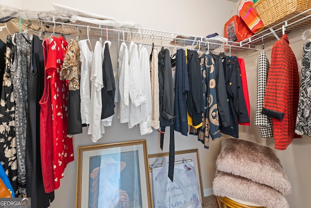 1001 Hartwell Rd, Locust Grove, GA 30248 - view of spacious closet