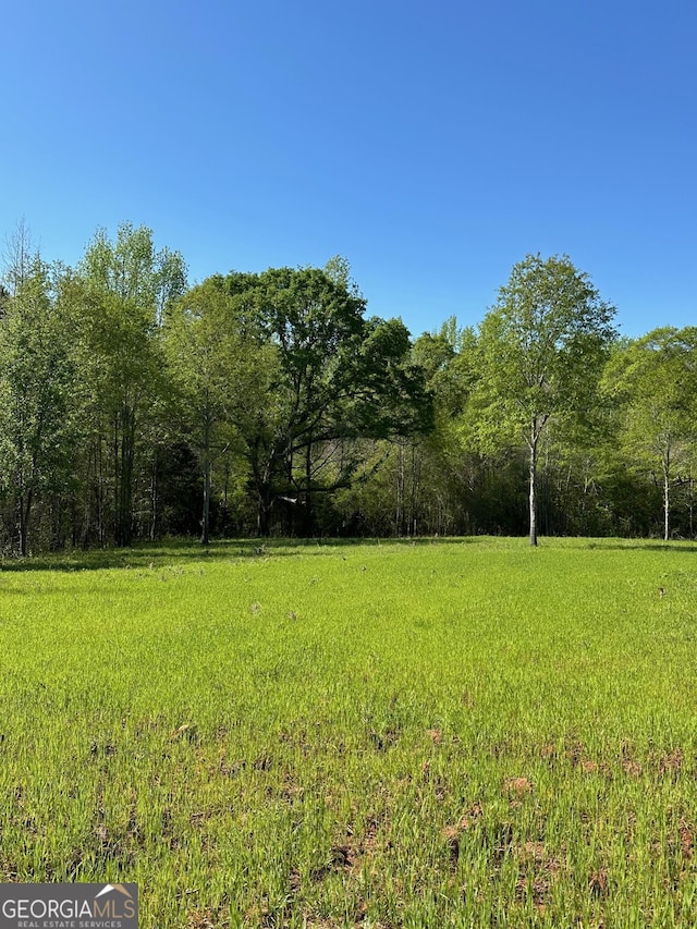 0 W Road Rd W, Concord, GA 30206