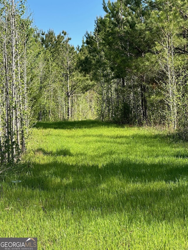 0 W Road Rd W, Concord, GA 30206