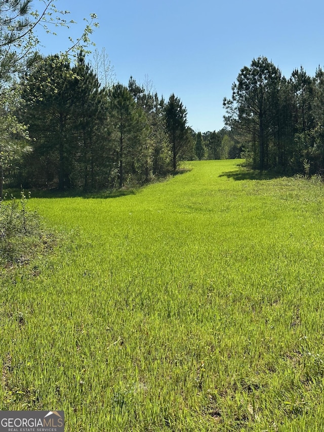 0 W Road Rd W, Concord, GA 30206