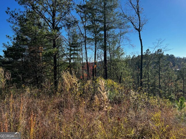 LOT112 High River Xing Unit 112, Ellijay, GA 30540