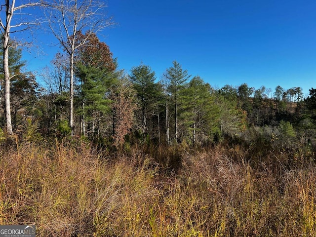 LOT112 High River Xing Unit 112, Ellijay, GA 30540