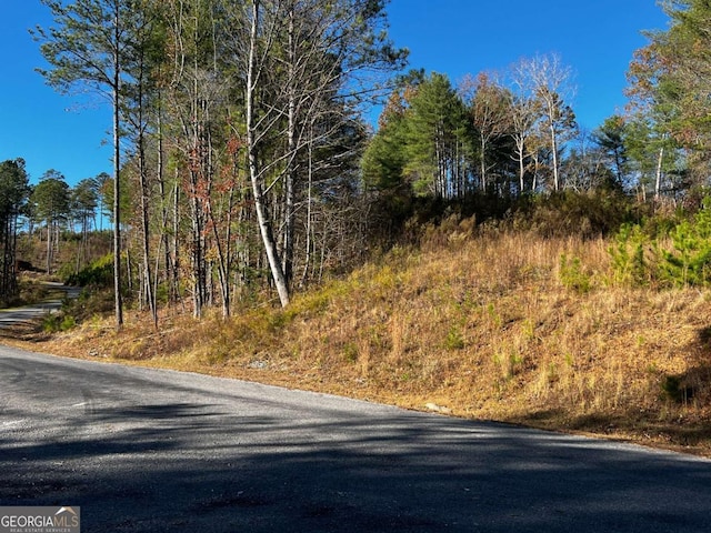 LOT112 High River Xing Unit 112, Ellijay, GA 30540