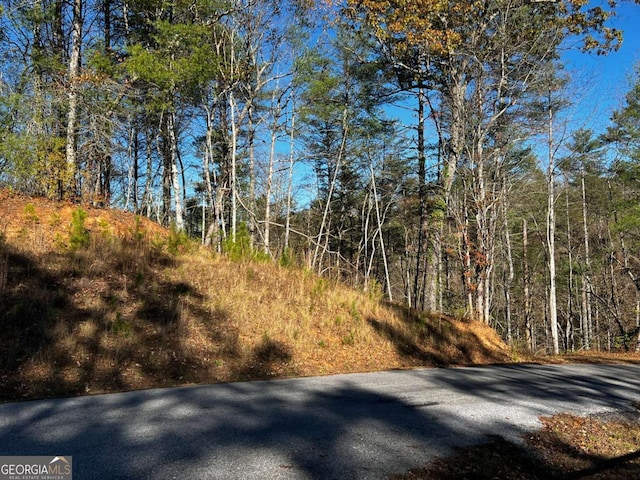 LOT112 High River Xing Unit 112, Ellijay, GA 30540