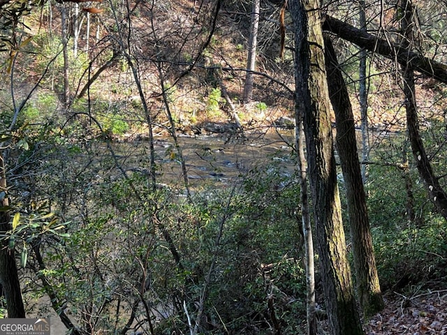 LOT112 High River Xing Unit 112, Ellijay, GA 30540