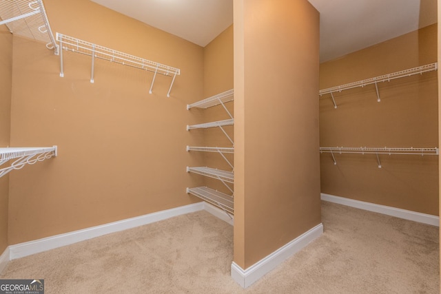 303 Sage Meadows Ln, Bonaire, GA 31005 - walk in closet featuring carpet floors