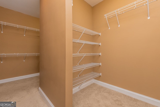 303 Sage Meadows Ln, Bonaire, GA 31005 - spacious closet with carpet flooring