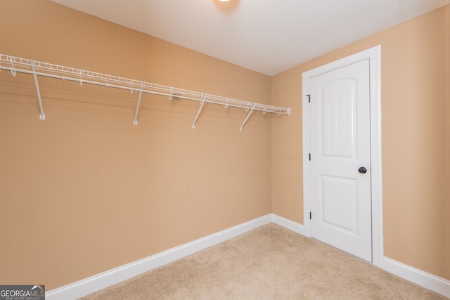 303 Sage Meadows Ln, Bonaire, GA 31005 - spacious closet with carpet flooring