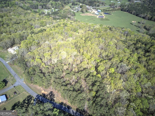 0 Mckibben Rd, Buchanan, GA 30113
