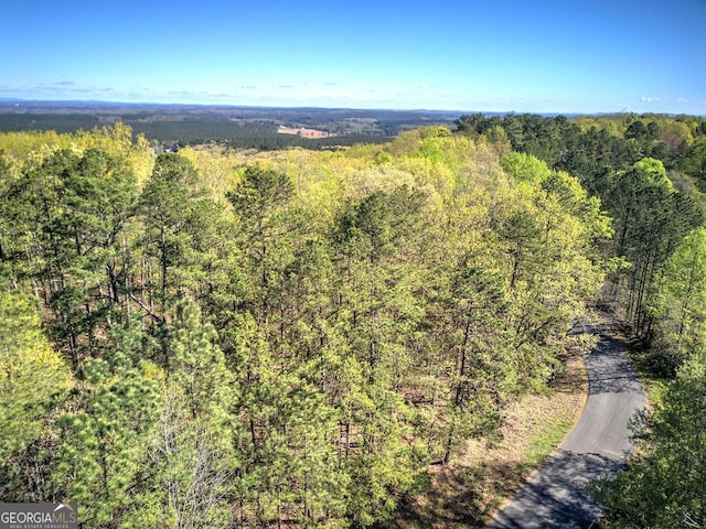 0 Mckibben Rd, Buchanan, GA 30113