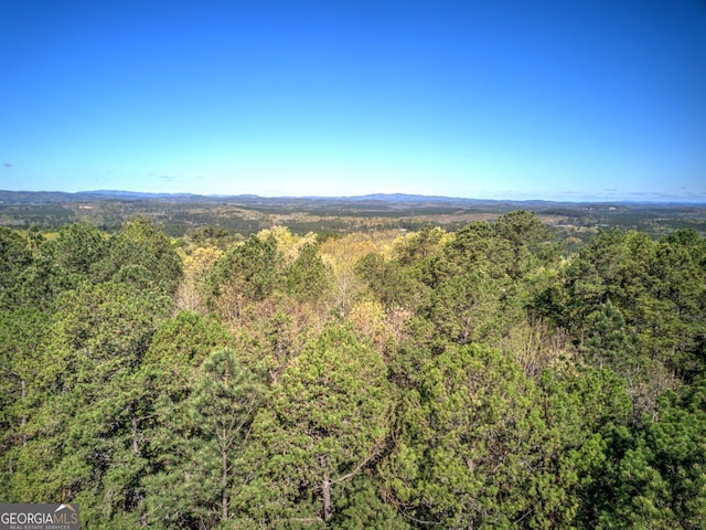 0 Mckibben Rd, Buchanan, GA 30113