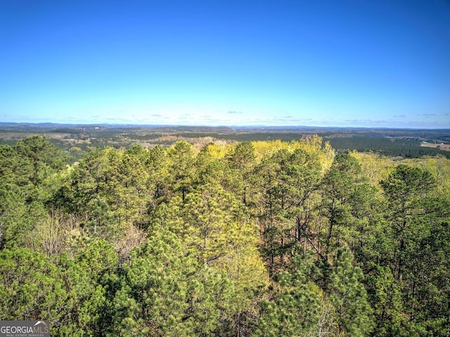 0 Mckibben Rd, Buchanan, GA 30113