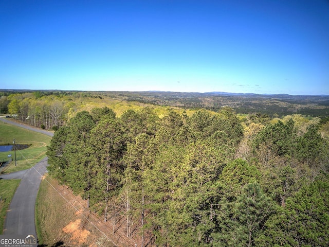 0 Mckibben Rd, Buchanan, GA 30113