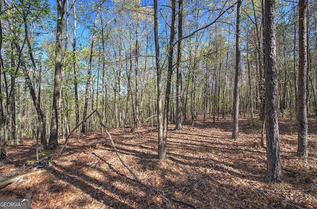 0 Mckibben Rd, Buchanan, GA 30113