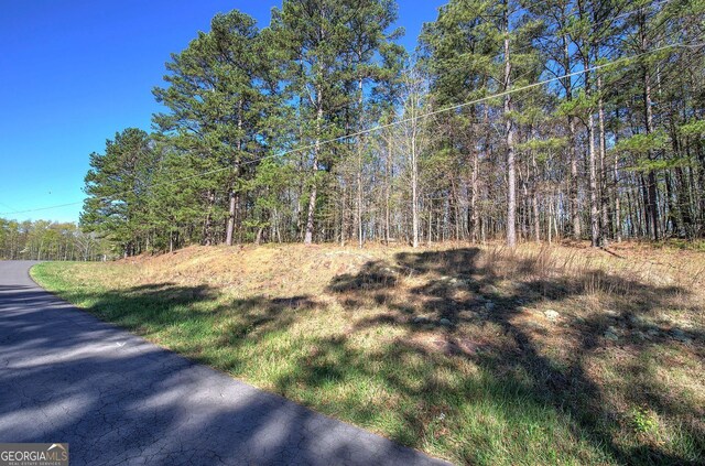 0 Mckibben Rd, Buchanan, GA 30113