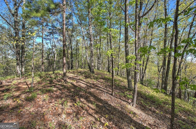 0 Mckibben Rd, Buchanan, GA 30113