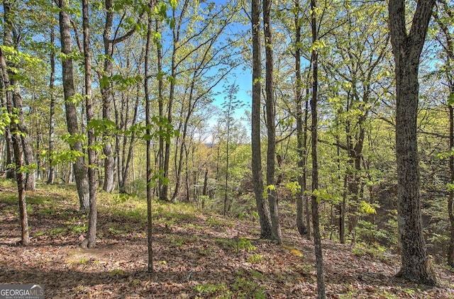 0 Mckibben Rd, Buchanan, GA 30113