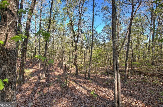 0 Mckibben Rd, Buchanan, GA 30113
