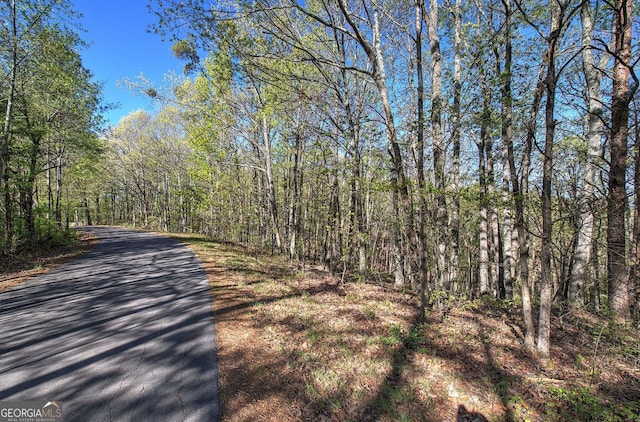 0 Mckibben Rd, Buchanan, GA 30113