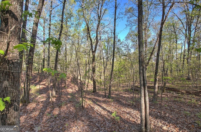 0 Mckibben Rd, Buchanan, GA 30113