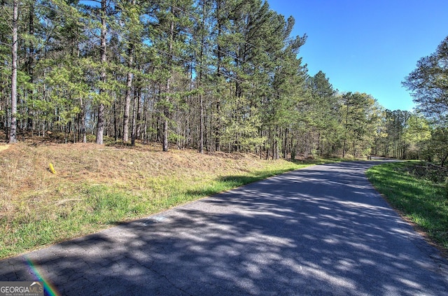 0 Mckibben Rd, Buchanan, GA 30113