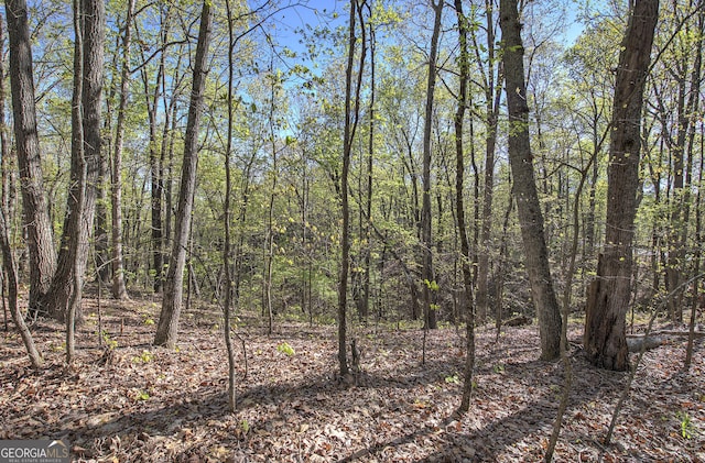 0 Mckibben Rd, Buchanan, GA 30113