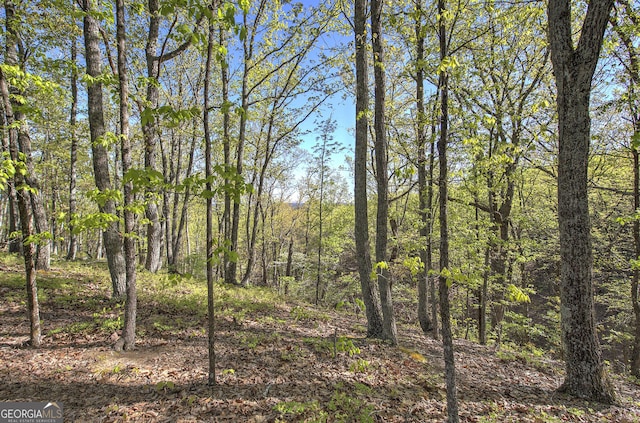 0 Mckibben Rd, Buchanan, GA 30113