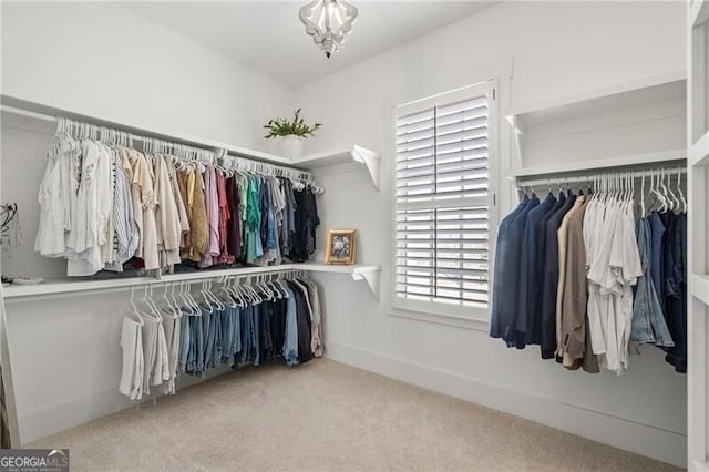 200 Ivy Meadow Way, Ball Ground, GA 30107 - walk in closet with carpet flooring