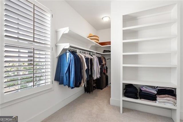 200 Ivy Meadow Way, Ball Ground, GA 30107 - spacious closet with carpet