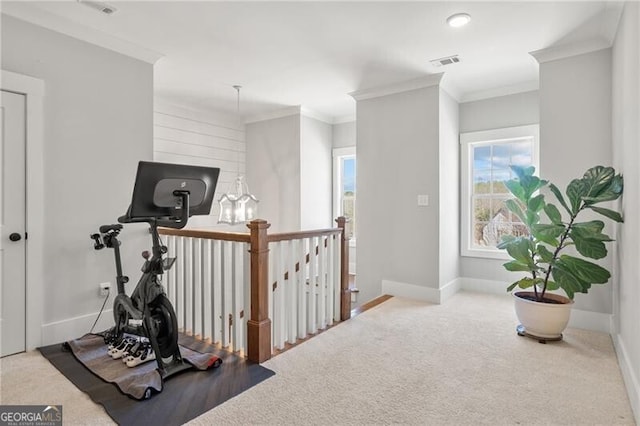 200 Ivy Meadow Way, Ball Ground, GA 30107 - exercise area featuring carpet floors and crown molding