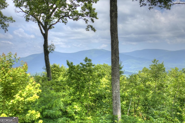 312 Mollie Mountain Trl, Ellijay, GA 30536 - deck featuring a mountain view and a grill