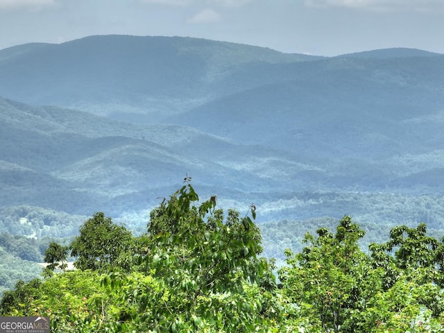 312 Mollie Mountain Trl, Ellijay, GA 30536 - view of mountain background with a heavily wooded area