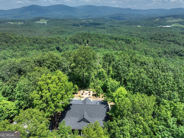 312 Mollie Mountain Trl, Ellijay, GA 30536 - aerial view of property and surrounding area