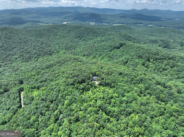 312 Mollie Mountain Trl, Ellijay, GA 30536 - view of mountain backdrop featuring a heavily wooded area