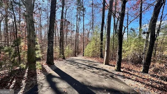 1621 Wellborn Walk, Suwanee, GA 30024 - view of street with a forest view