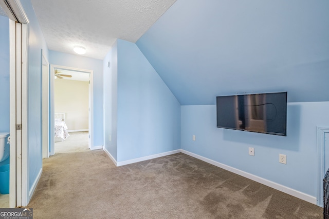 107 Line Creek Rd, Nicholson, GA 30565 - bonus room featuring carpet, lofted ceiling, and a textured ceiling