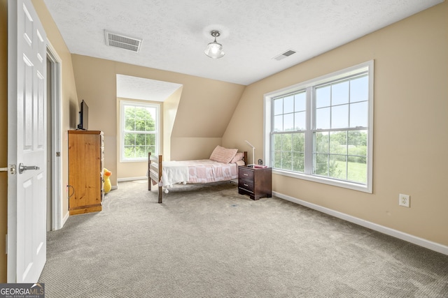 107 Line Creek Rd, Nicholson, GA 30565 - carpeted bedroom with vaulted ceiling and a textured ceiling