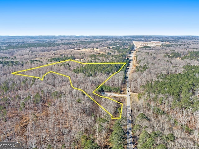 0 Hampton Locust Grove Rd, Hampton, GA 30228