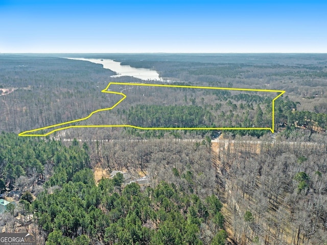 0 Hampton Locust Grove Rd, Hampton, GA 30228