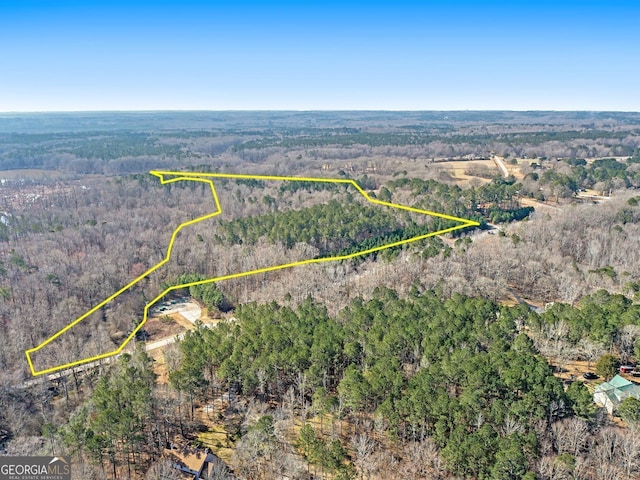 0 Hampton Locust Grove Rd, Hampton, GA 30228