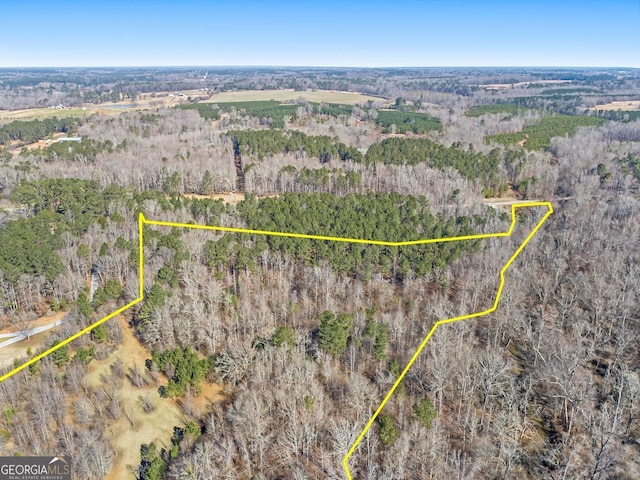 0 Hampton Locust Grove Rd, Hampton, GA 30228