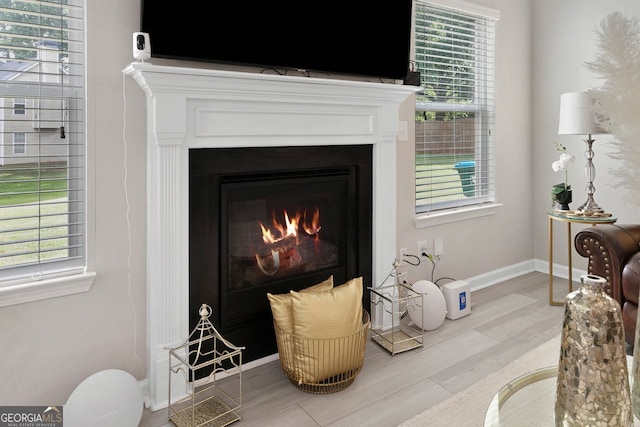 140 Canyons Ct, Hampton, GA 30228 - detailed view of wood finished floors and a lit fireplace