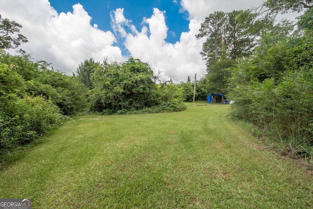 6110 Ga Highway 34, Franklin, GA 30217 - view of grassy yard featuring a storage shed