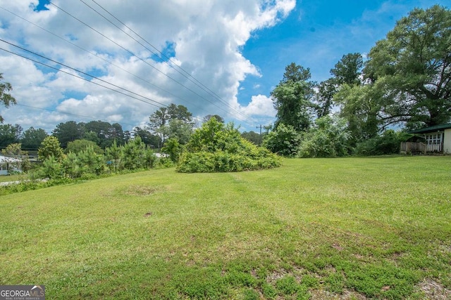 6110 Ga Highway 34, Franklin, GA 30217 - view of green lawn