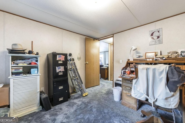 912 Druid St, Dublin, GA 31021 - carpeted office space featuring a textured ceiling