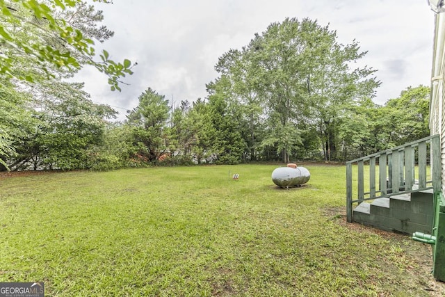 912 Druid St, Dublin, GA 31021 - view of grassy yard